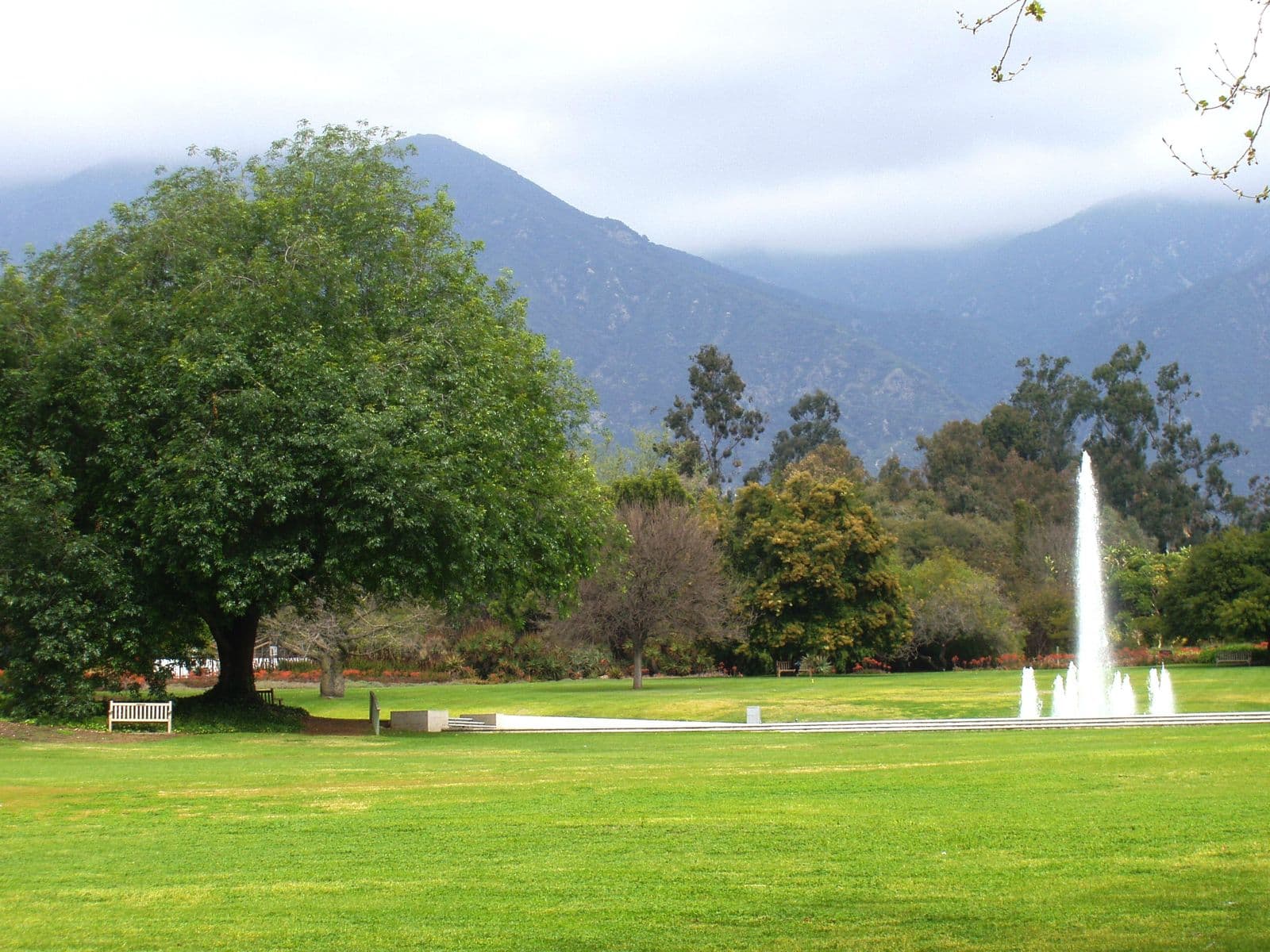 The central fountain and lawn at the Los Angeles County Arboretum