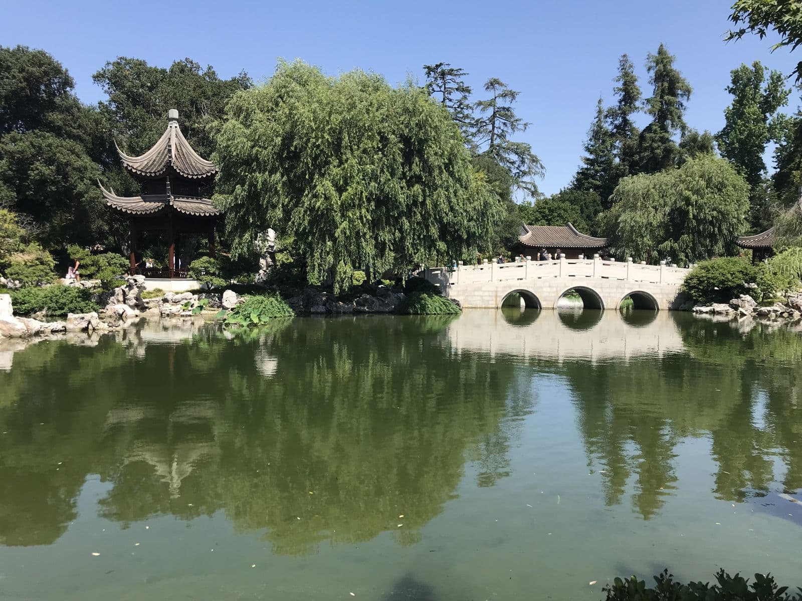 The Chinese Garden at The Huntington: a stone bridge and a pavilion reflected in the lake