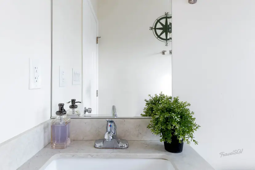 Bathroom sink with a plant