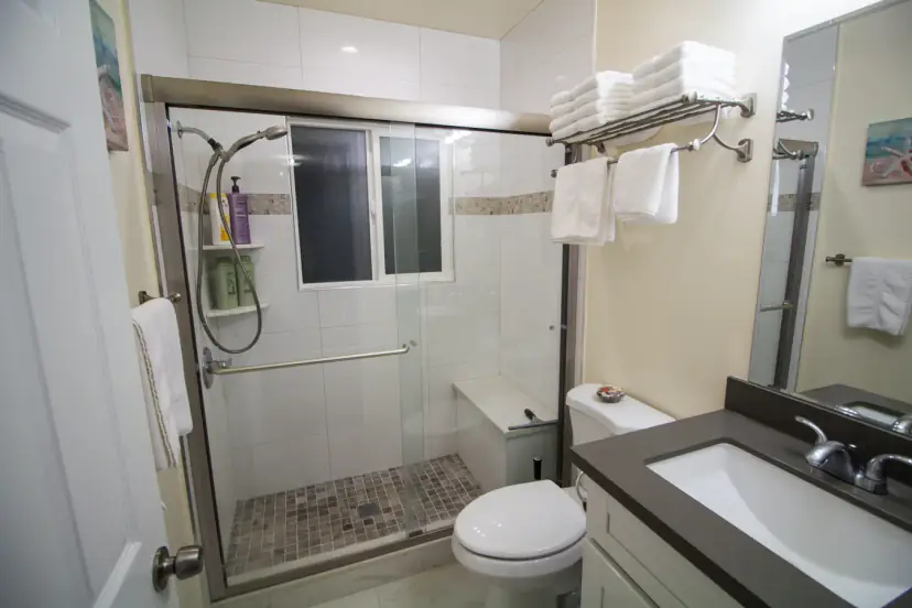 Bathroom with a tiled walk-in shower and a grey vanity
