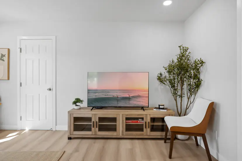 TV console with a plant and an accent chair