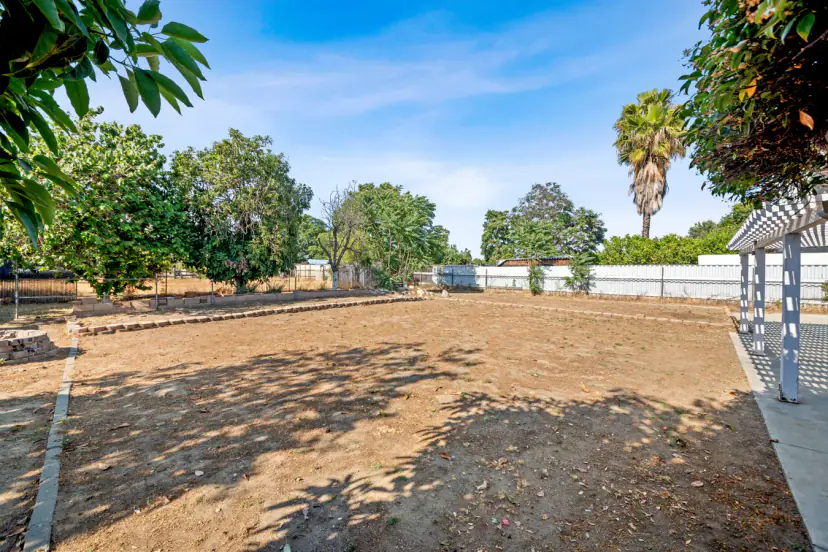 Large backyard with fruit trees and a pergola