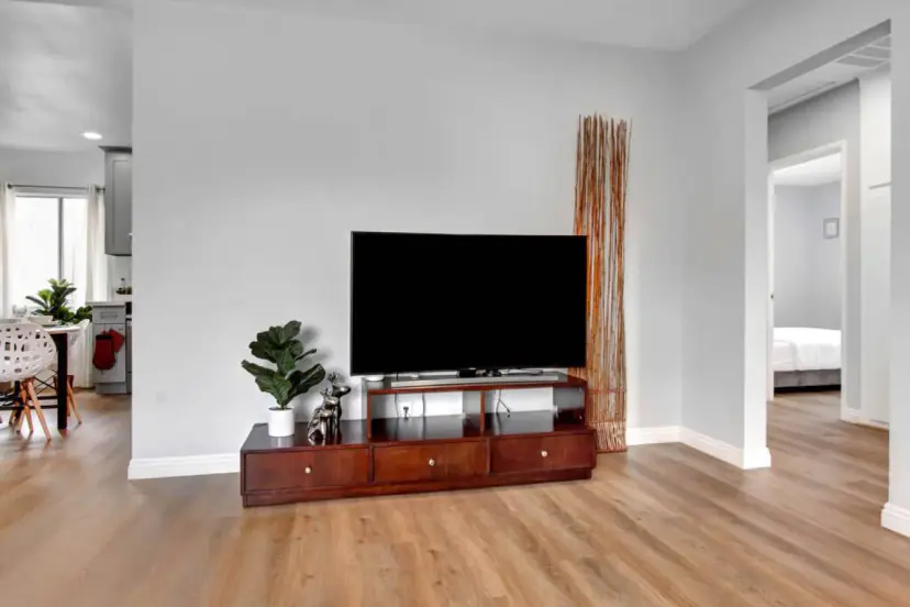 Living room with a TV console and a potted plant
