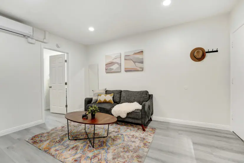 Living room with a rug and a grey sofa