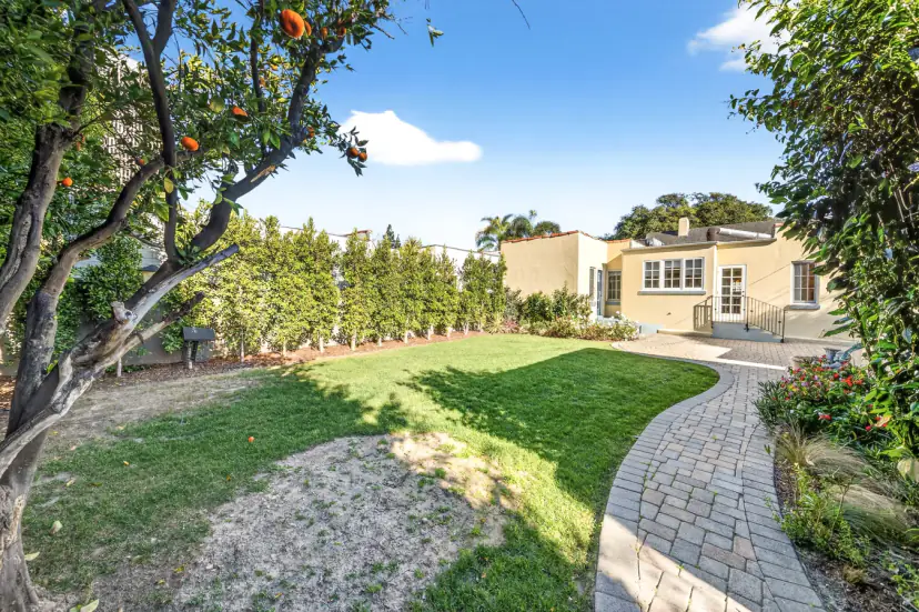 Back lawn with a paver path and an orange tree