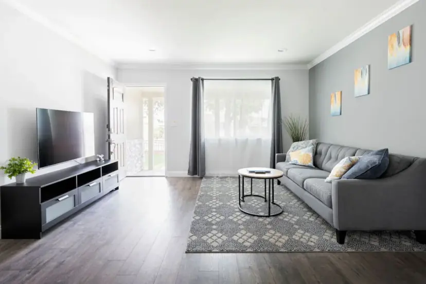 Living room with a grey sofa, a TV console and a patterned rug