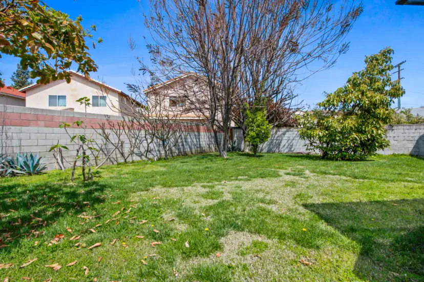 Lawn behind the house