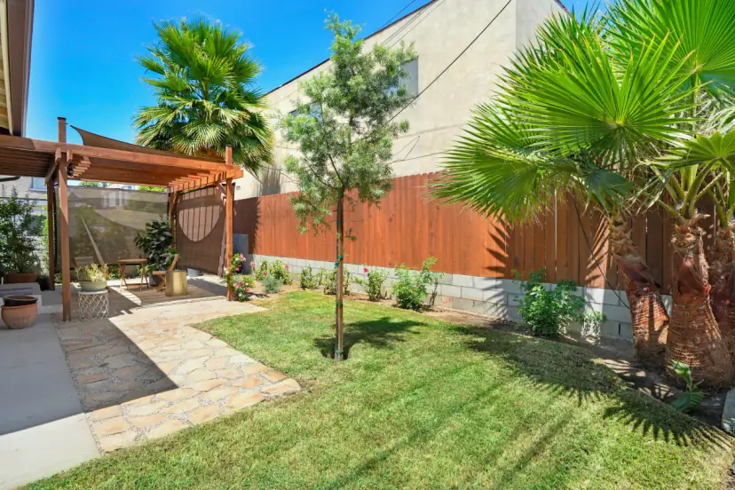 Small lawn with palms beside the pergola