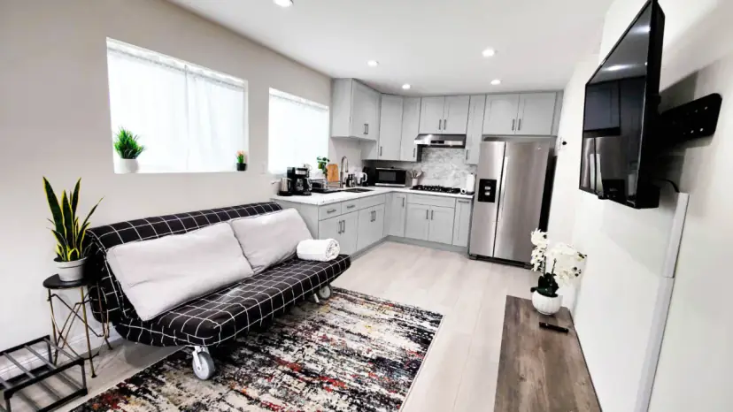 Living room with a futon sofa and a rug